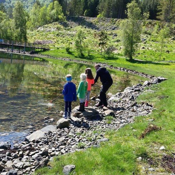 Tre barn og en voksen står i vannkanten å fisker