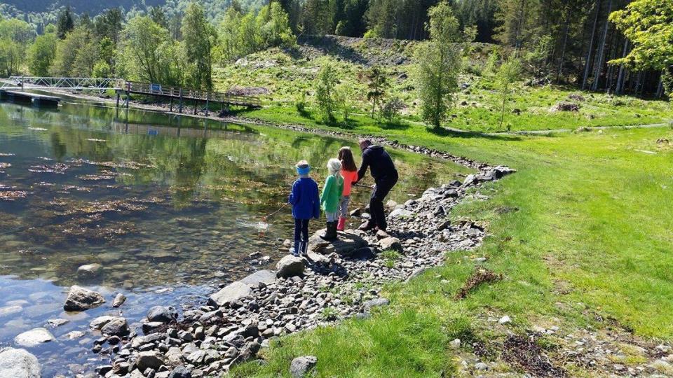 Lenke til artikkel: Kartlegging og verdsetting av friluftsområde